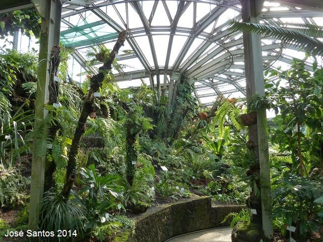 Jardim Botânico de Berlim