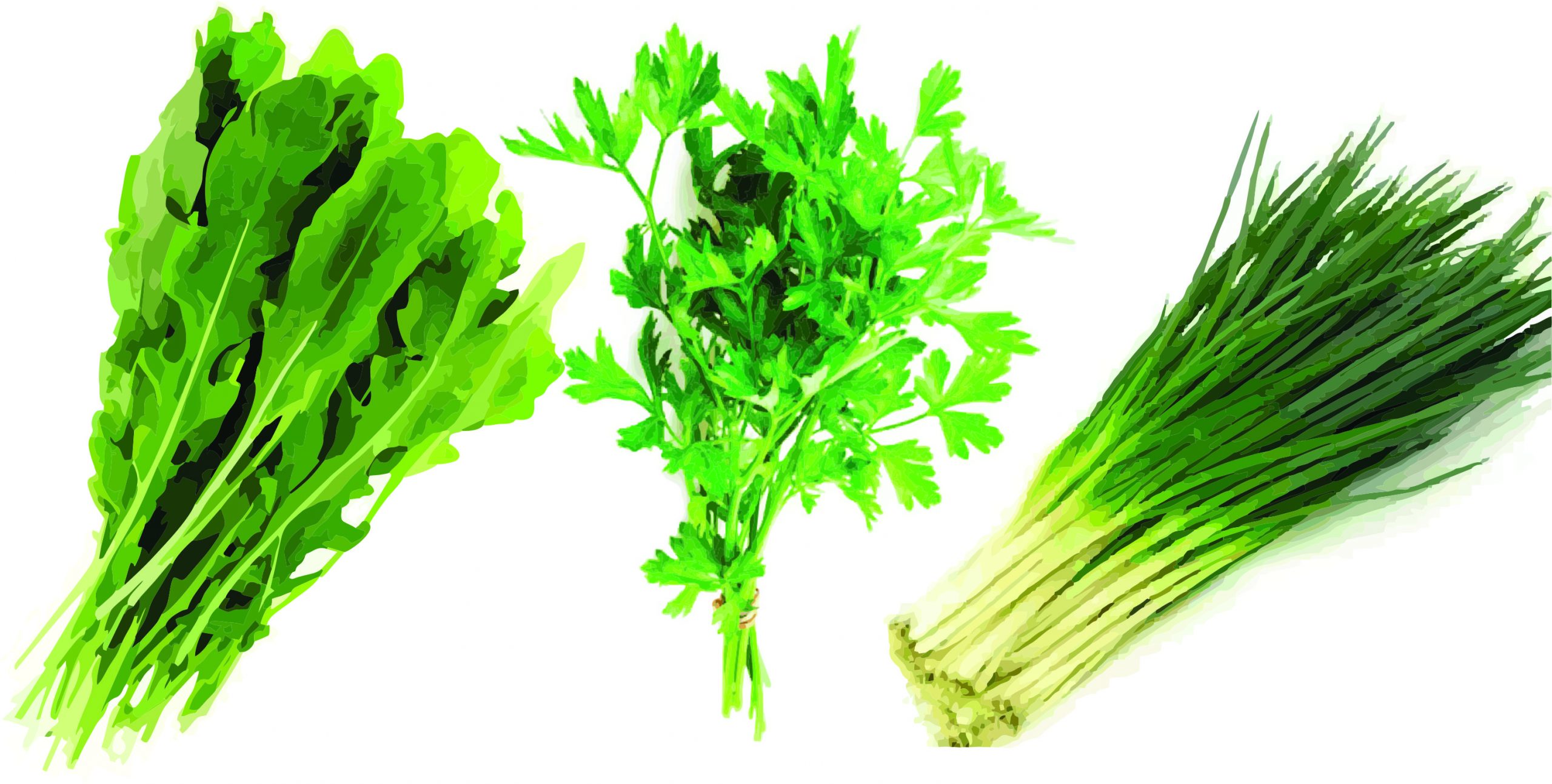 Mini-horta em casa