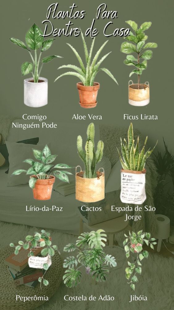 Espécies de plantas indicadas para sacada