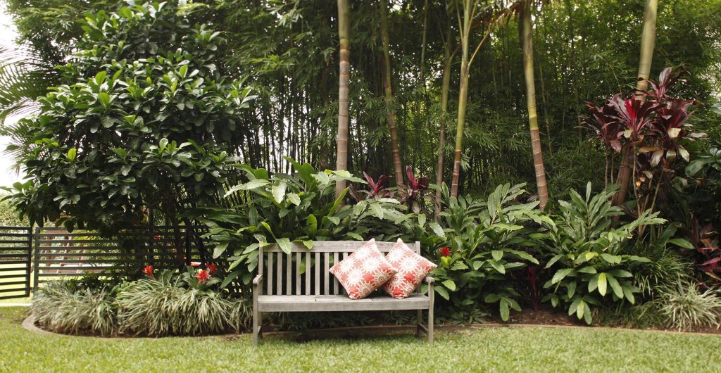 Jardim contemporâneo com plantas tropicais